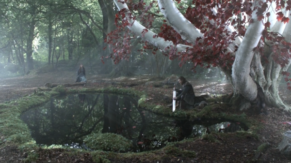Lady Catelyn Stark visits her husband Eddard where he sits under the old Weirwood tree.