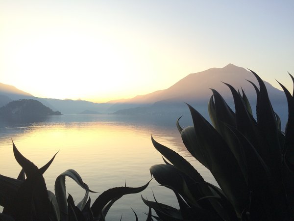 Sunset in gardens of villa Monastero, Varenna, Como lake, Italy