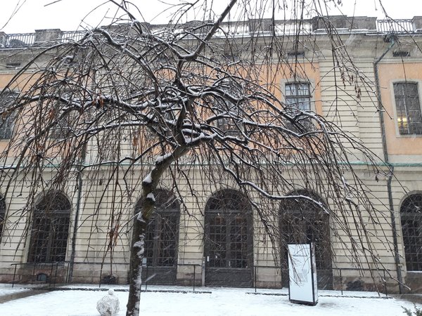 The Nobel Museum backyard