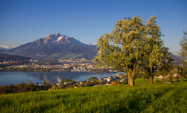 Dietschiberg Viewpoint.
