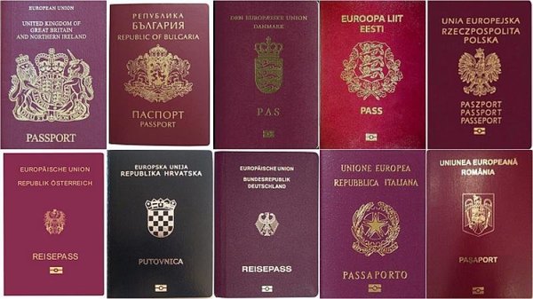 Passport meaning