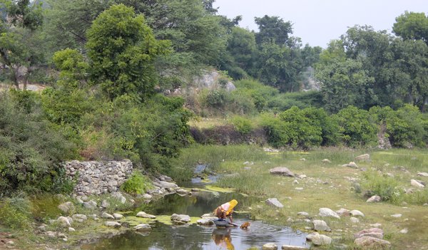 indian woman washing clothes on the road to kumbhalgarh fort (india)