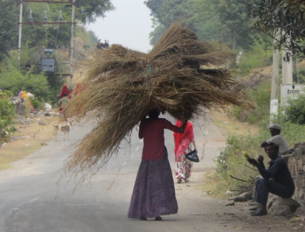 On the road to Kumbhalgarh Fort. India. (Photo Credit: MBS Photography)