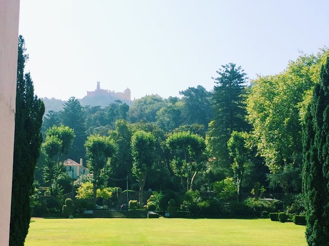Golf Course, View, Garden, Surroundings, Summer, Spring, Autumn, Terrace, Yoga, Building, Animals, Communal Areas, Sports & Activities, Daytime, Kids Area, Wedding, Television, Entrance, Balcony, Fountain