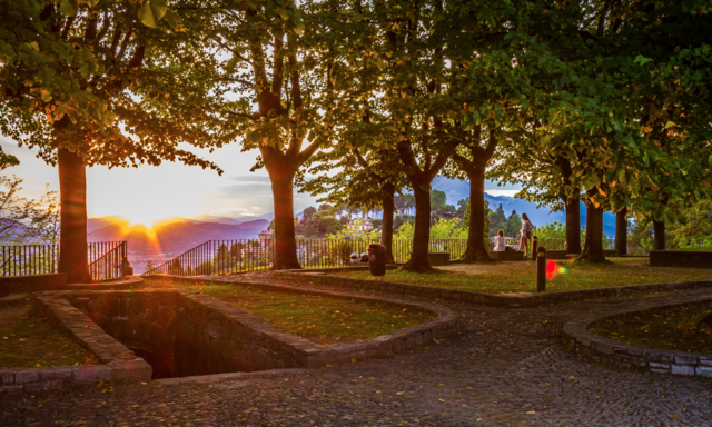 tree, walkway, park, outdoors, path, autumn, environment, nobody, landscape, evening, footpath, travel, scenic, road, bench, light, daytime, leisure, garden, people