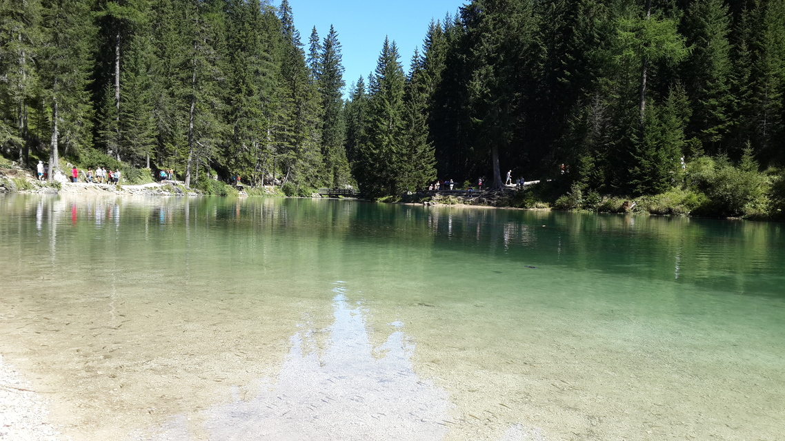 lake, water, tree, reflection, nobody, park, forest, travel, outdoors, pond, nature, landscape, river, scenic, environment, daytime, summer, grass, sky, wood
