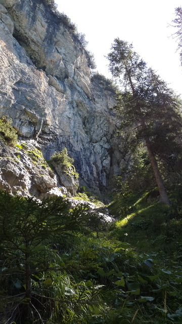 landscape, mountain, rock, travel, nature, outdoors, water, scenic, nobody, tree, forest, sky, summer, canyon, environment, park, valley, tourism, wood, plant