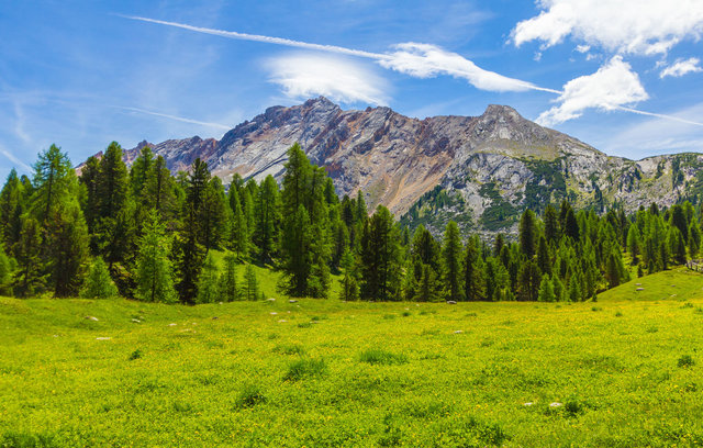 Summer, Spring, Autumn, Surroundings, View, Snow & Ski Sports, Terrace, Garden, Winter, Golf Course, Daytime, Television, Yoga, Hot Tub, Sauna, Sports & Activities, Building, Bicycling, Fireplace, Entrance