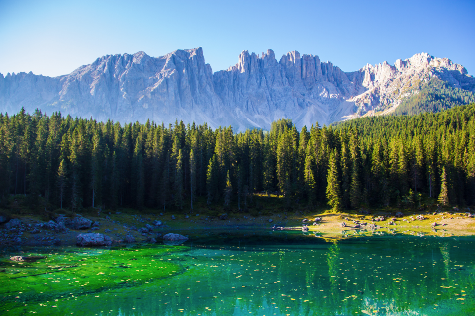 Lake Carezza walk