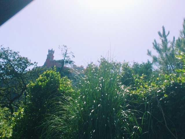 View, Garden, Surroundings, Terrace, Summer, Spring, Kids Area, Golf Course, Entrance, Daytime, Animals, Communal Areas, Yoga, Wedding, Stairs, Fountain, Building, Autumn, Restaurant, Sports & Activities