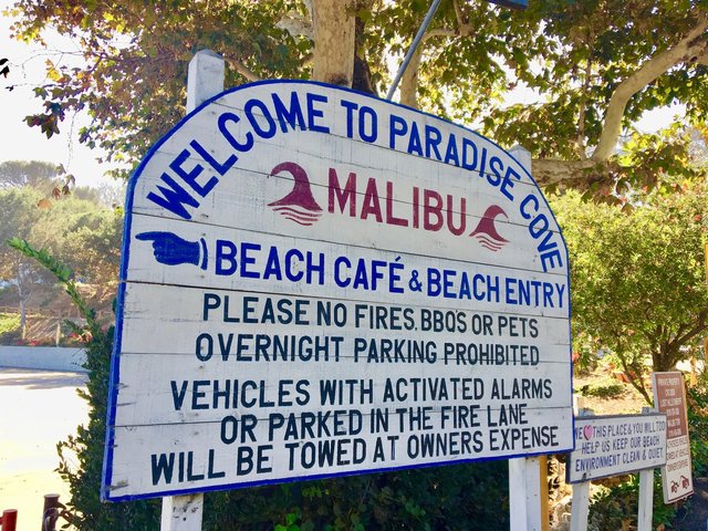 are dogs allowed at paradise cove beach