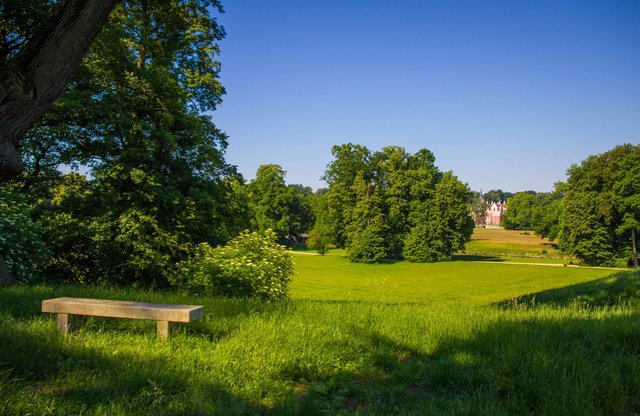 landscape, tree, grass, meadow, scenic, idyllic, nobody, outdoors, countryside, lawn, summer, lush, farm, sky, field, agriculture, quiet, environment, daytime, grassland