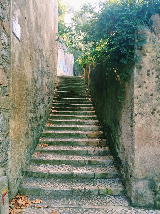 Stairs, Entrance, Garden, Hallway, Surroundings, Summer, Terrace, Spring, Communal Areas, Wedding, Fountain, Autumn, Daytime, Yoga, Sports & Activities, Beach, Wellness & Spa, Kids Area, Bathroom Shower, View