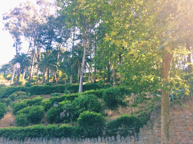 Garden, Surroundings, View, Golf Course, Entrance, Building, Fountain, Autumn, Summer, Spring, Terrace, Communal Areas, Stairs, Yoga, Tennis Court, Kids Area, Wedding, Restaurant, Nighttime, Sports & Activities