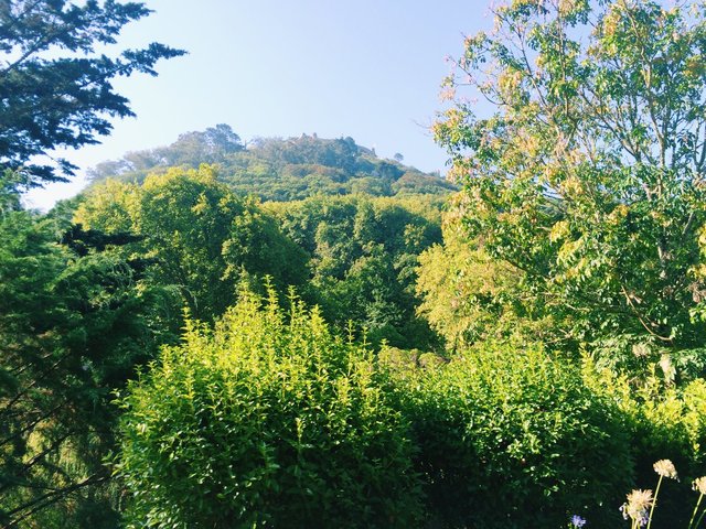Summer, Garden, Spring, Autumn, Surroundings, View, Terrace, Kids Area, Yoga, Building, Golf Course, Communal Areas, Internet Area, Television, Water Sports, Entrance, Animals, Daytime, Tennis Court, Bicycling